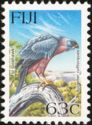 Fiji Goshawk (Accipiter rufitorques)